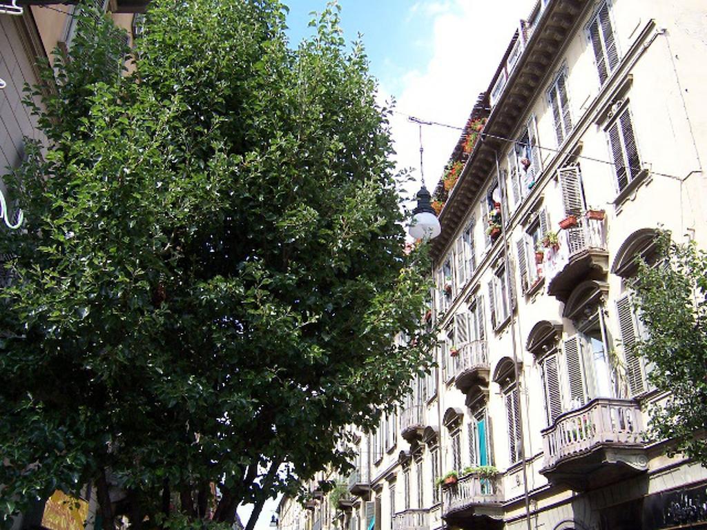 Casa Saluzzo * Turin